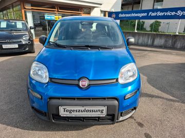 Panda Pandina Cross