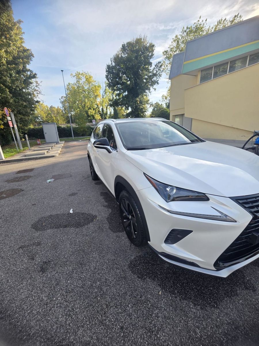 Lexus NX 300h Hybrid 4WD Premium imagem 3