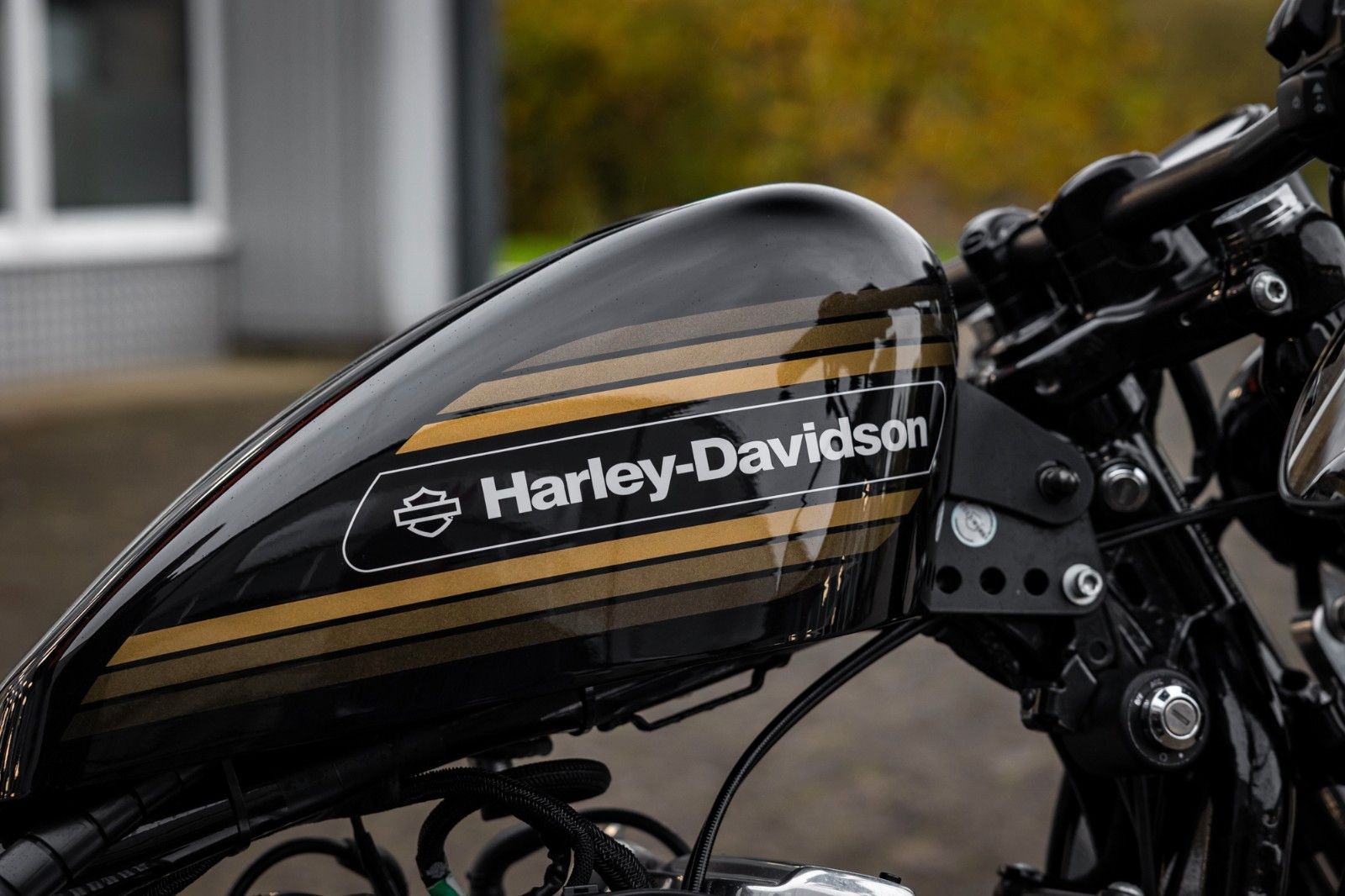 Fahrzeugabbildung Harley-Davidson XL1200X SPORTSTER FORTY-EIGHT - 200er TTS PENZL