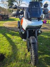 Harley-Davidson Pan America RA 1250 Spezial mit Klappenauspuff - HARLEY-DAVIDSON BENZIN ENDURO