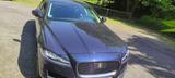 Jaguar XF 3.0 V6 Prestige  300 PSDiesel ... - Jaguar: X300