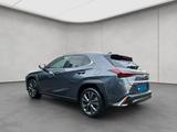 Lexus UX 250h F-Sport Design - Lexus UX: F Sport