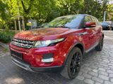 Land Rover Range Rover Evoque Pure//*PANORAMA*//*NAVI* - Land Rover Range Rover Evoque aus 2013