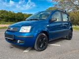Fiat Panda 1.2 8V Dynamic Panoramadach - Fiat Panda Gebrauchtwagen in Krefeld