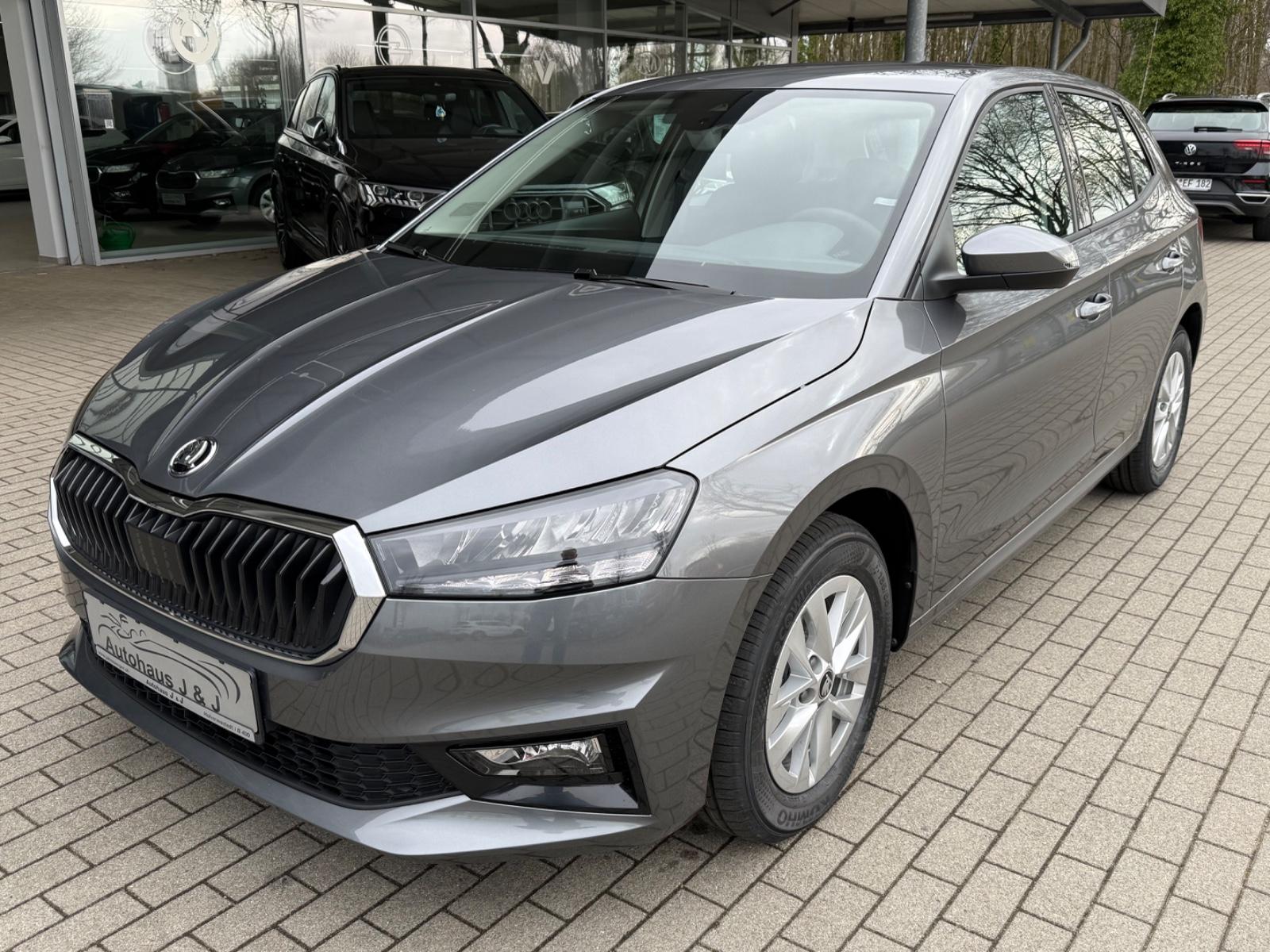 Skoda Fabia Selection Kamera/WinterPak/Klimaauto/GV5