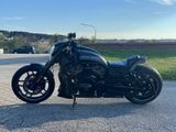 Harley-Davidson Night Rod Special - Offers matching your search criteria