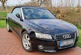 Audi A5 Cabrio TDi 2,7 Automatik Top gepflegt - Audi Cabriolet: TDI