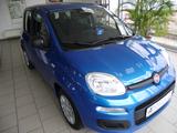 Fiat Panda 1.0 GSE Pandina Hybrid Cross MY25 - Fiat Panda in Halle