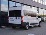 Fiat Ducato Modular L2H2 140 / Schnierle 9-Sitzer - Fiat: 9 Sitzer