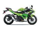 Kawasaki Ninja 500 SE Grün Modell 2025 sofort lieferbar - KAWASAKI NINJA 500