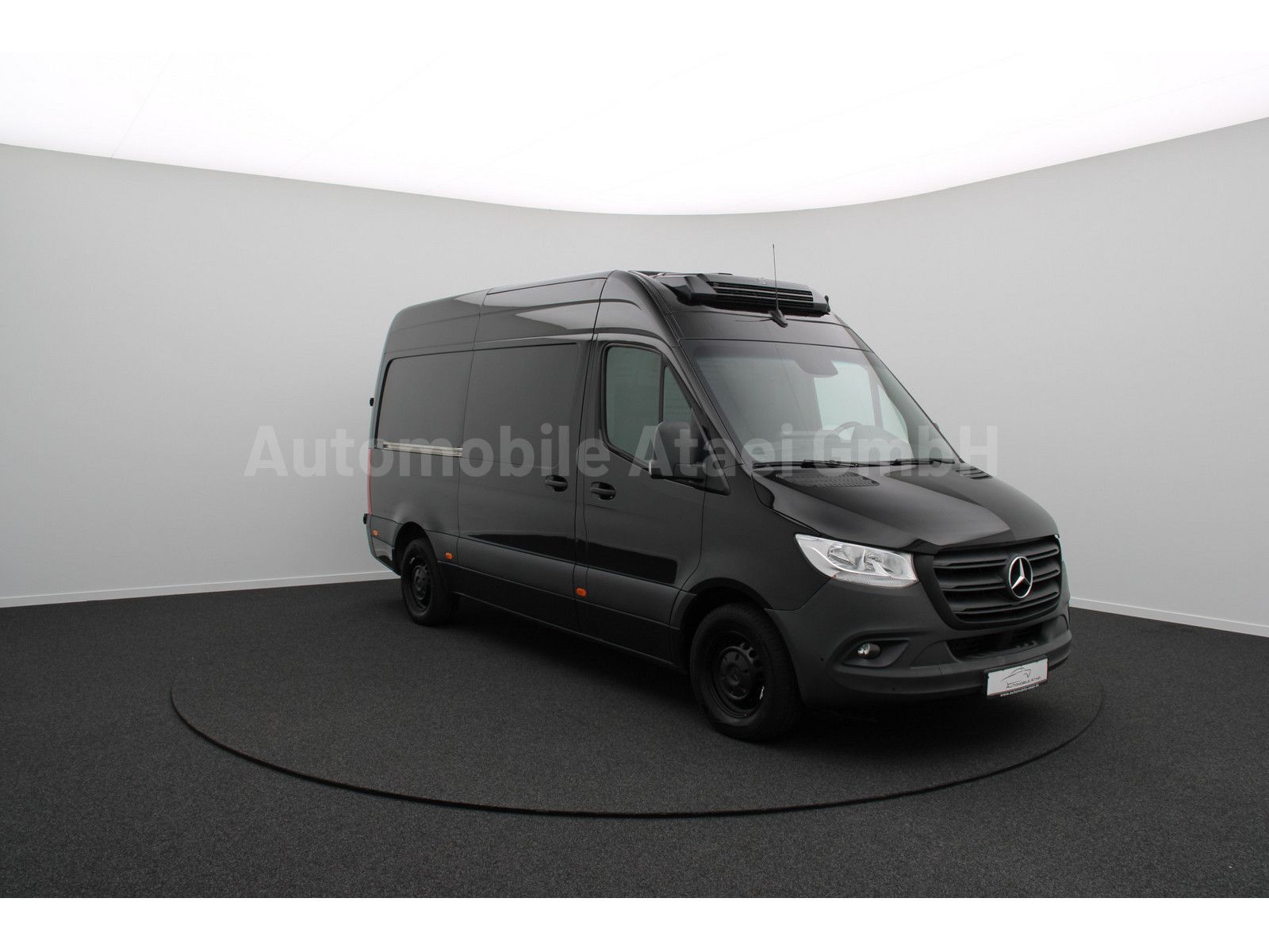 Fahrzeugabbildung Mercedes-Benz Sprinter 316 *ThermoKing -32° Tiefkühl* (0056)