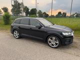 Audi SQ7 4.0 TDI quattro tiptronic -BOSE- 7Sitze - Audi SQ7 aus 2019