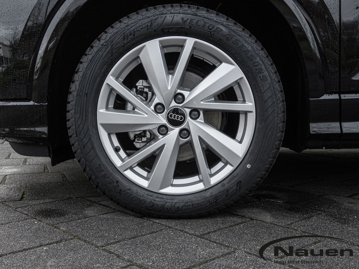 Audi Q2 - Bild 5