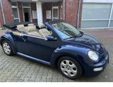 Volkswagen VW beetle 2/0 Automatic - Volkswagen Beetle aus 2003