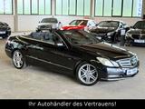 Mercedes-Benz E 220 Avatgarde AMG*AHK*NAVI*Windschott*PDC - Mercedes-Benz: Cabrio, W
