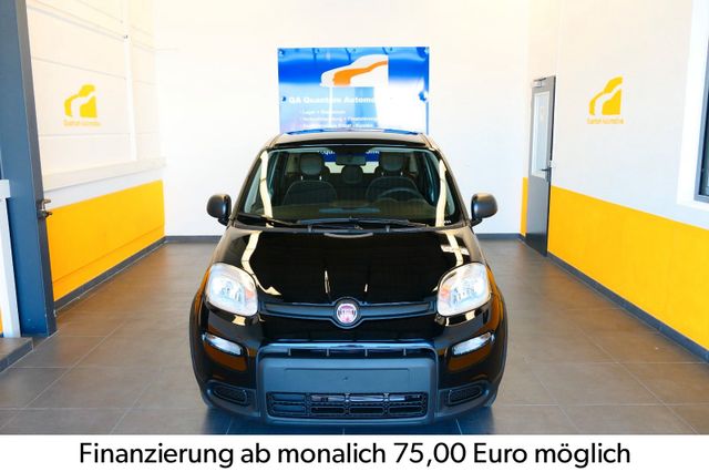 Fiat Panda 1.0 Hybrid New Pack City 5 Sitzer  MY24