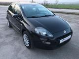 Fiat Punto 1.3 MJT II 75 CV Easy - Fiat Punto: Easy