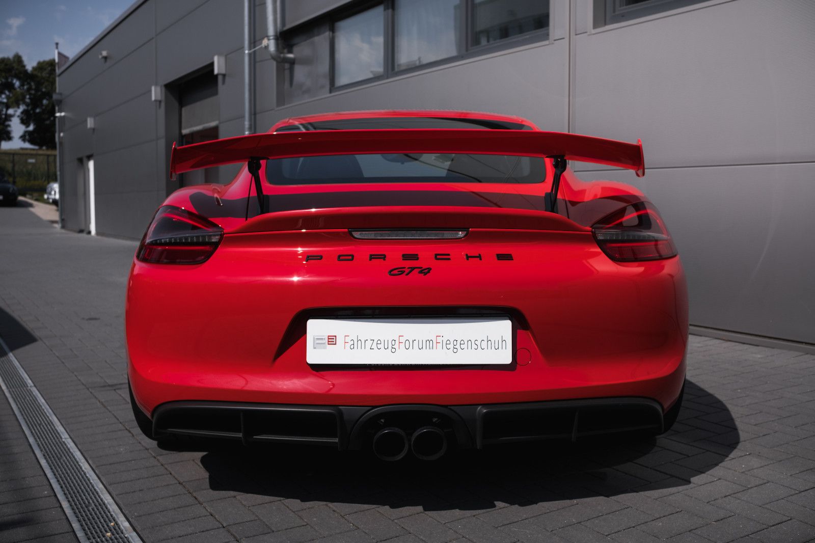 Fahrzeugabbildung Porsche Cayman GT4-Approved-XPEL-Scheckheft