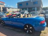 Audi A5 Cabriolet 2.0 TDI Leder Bi-Xenon - gebrauchte Audi A5 aus dem Jahr 2009