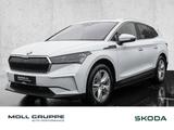 Skoda Enyaq 80 iV LED PANO NAVI - weiße Skoda Enyaq