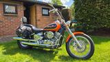 Yamaha XVS650 Drag Star - YAMAHA XVS 650 DRAG STAR