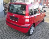 Fiat Panda 1.2 8V Dynamic - Fiat Panda: Rot