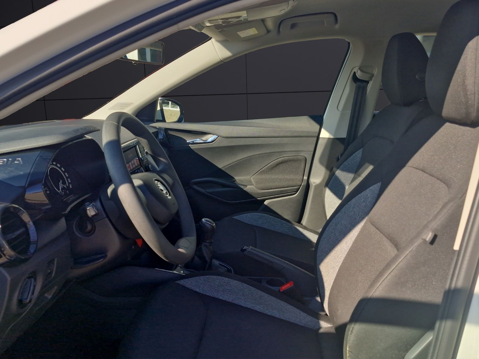 Fahrzeugabbildung SKODA Fabia Active 1.0 LED SH