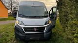 Fiat Ducato 2.3 2019 Hoch und Lang Transpo... - Fiat Ducato: Lang