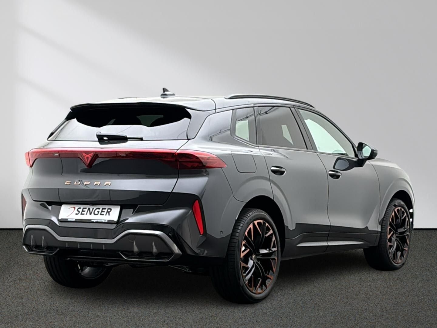 Cupra Terramar VZ 1.5 e-Hybrid DSG AHK Matrix Paket XL imagem 3