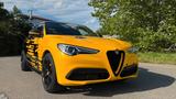 Alfa Romeo Stelvio 2.2 Diesel 16V 154kW Veloce QV Style - Alfa Romeo Stelvio aus 2021