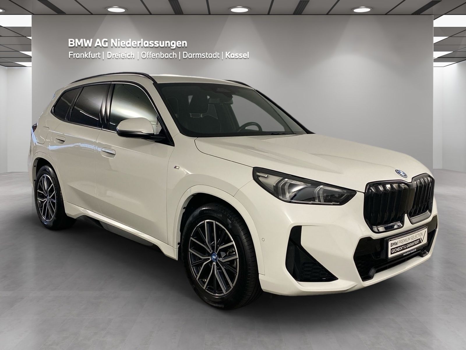 BMW iX1 xDrive30 M Sport Kamera Driv.Assist LED imagem 2