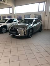 Lexus UX 250h F Sport Design F Sport Design - Lexus: Sport