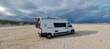 Peugeot Boxer  Wohnmobil 6 Meter wie Pössel und Co. - Peugeot Kastenwagen