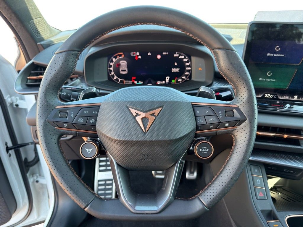Cupra Terramar - Bild 14