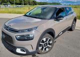 Citroën C4 Cactus PureTech 110 S&S Shine EAT6 Shine - Citroën Gebrauchtwagen in Rostock