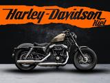 Harley-Davidson XL1200X SPORTSTER FORTY-EIGHT - Miller Auspuff - - HARLEY-DAVIDSON SPORTSTER