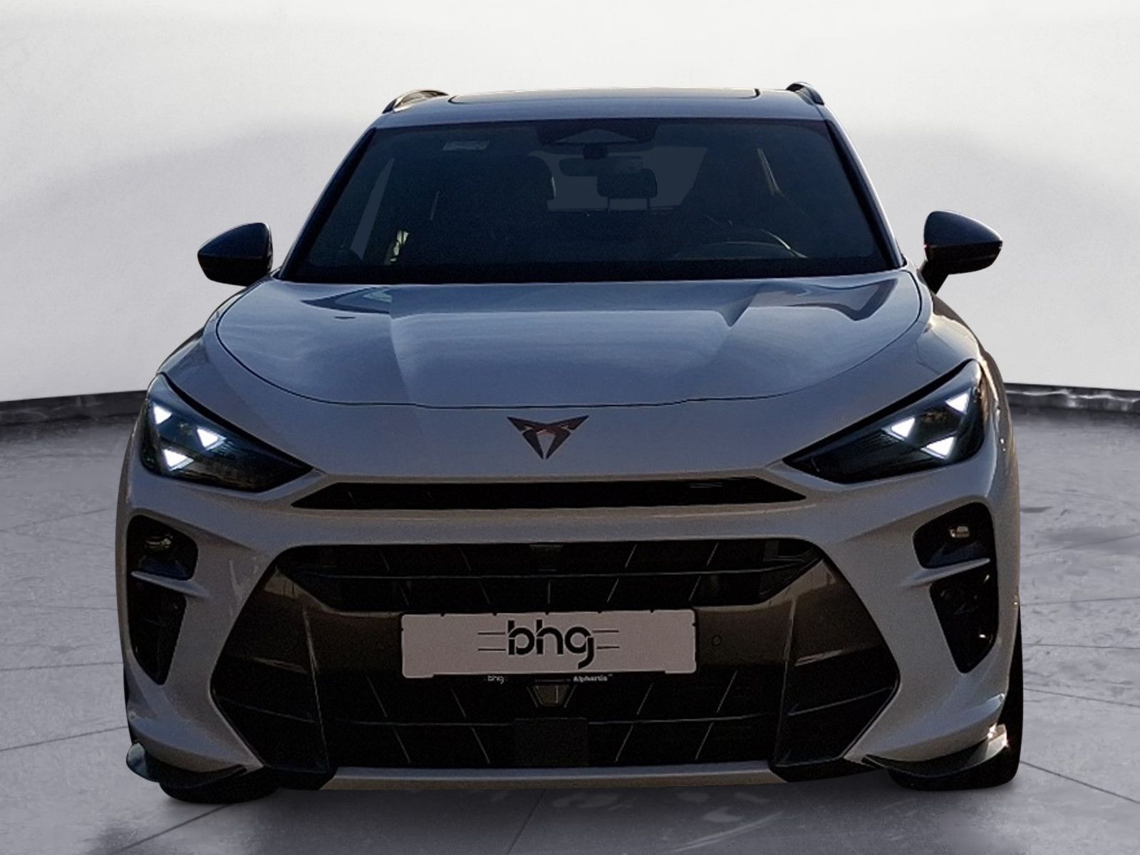 Cupra Terramar VZ ABT 2.0 TSI imagem 2