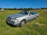 Mercedes-Benz Mercedes 124 Cabrio A124 Sportline W124 E-... - Mercedes-Benz: W124 Sportline