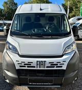 Fiat Ducato Kastenwagen 35 L5H2 180 Multijet Maxi. - Fiat Ducato: Kastenwagen