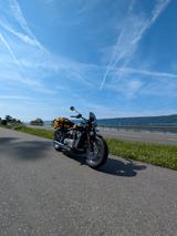 Triumph Bonneville Speedmaster  - TRIUMPH SPEEDMASTER