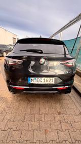 Alfa Romeo Stelvio 2.2 Diesel Competizione AT8 H&K LED VOLL - Alfa Romeo Stelvio Competizione