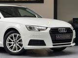Audi A4 Avant basis Xenon-Plus/AHK/Navi/BT/SHZ - Audi A4: Weiß, Kombi