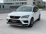 Cupra Ateca 4Drive/LED/ACC/AHK/Tribe Edition - Cupra Ateca Gebrauchtwagen