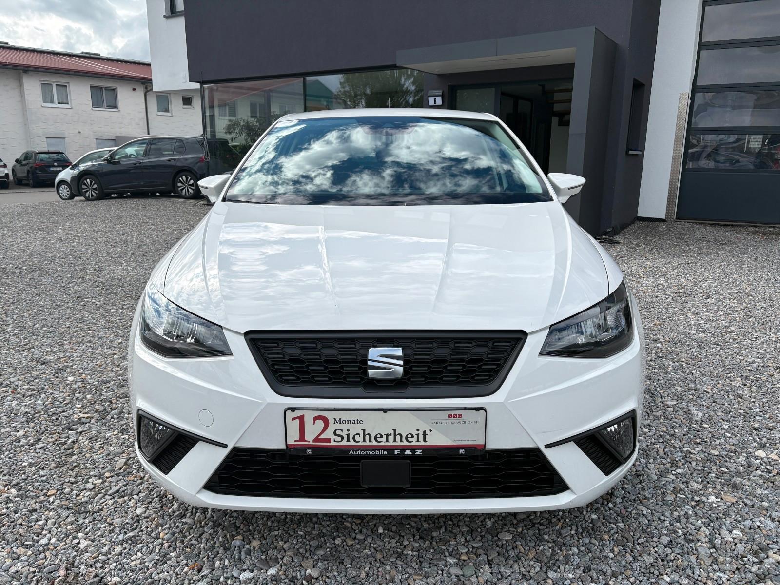 Seat Ibiza Style