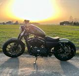 Harley-Davidson Iron 883 - Olive Gold - Top Zustand - 1. Hand 