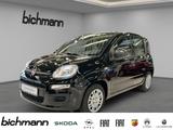 Fiat Pandina ICON 1.0 Klima PDC DAB USB teilb.Rücksb  - scheckheftgepflegte Fiat New Panda