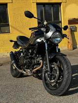 Suzuki SV650X - SUZUKI SV650X