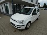 Fiat Panda 1.2 8V Dynamic Klima Weiss - Fiat Panda in Erfurt