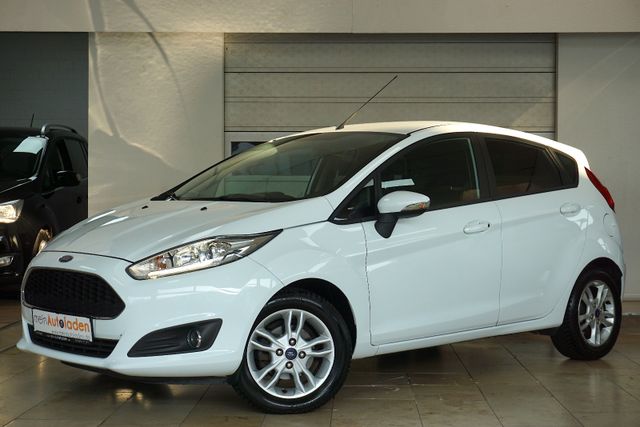 Ford Fiesta 1,0 EcoBoost 101PS *SHZ*LED*START/STOPP*