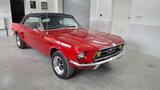 Ford Mustang - Ford Mustang aus 1967 mit Benzin-Antrieb: Cabrio